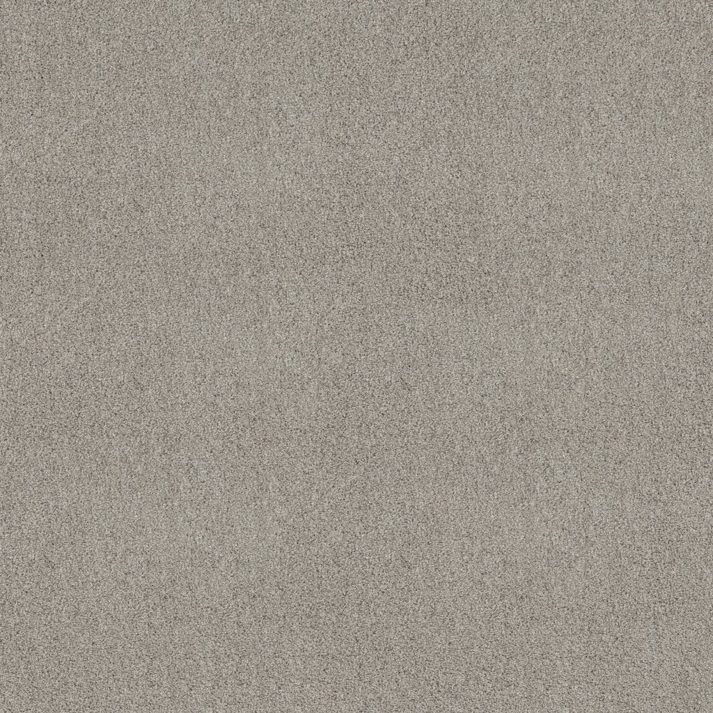 Shaw Floors Always Mine - Silver Screen