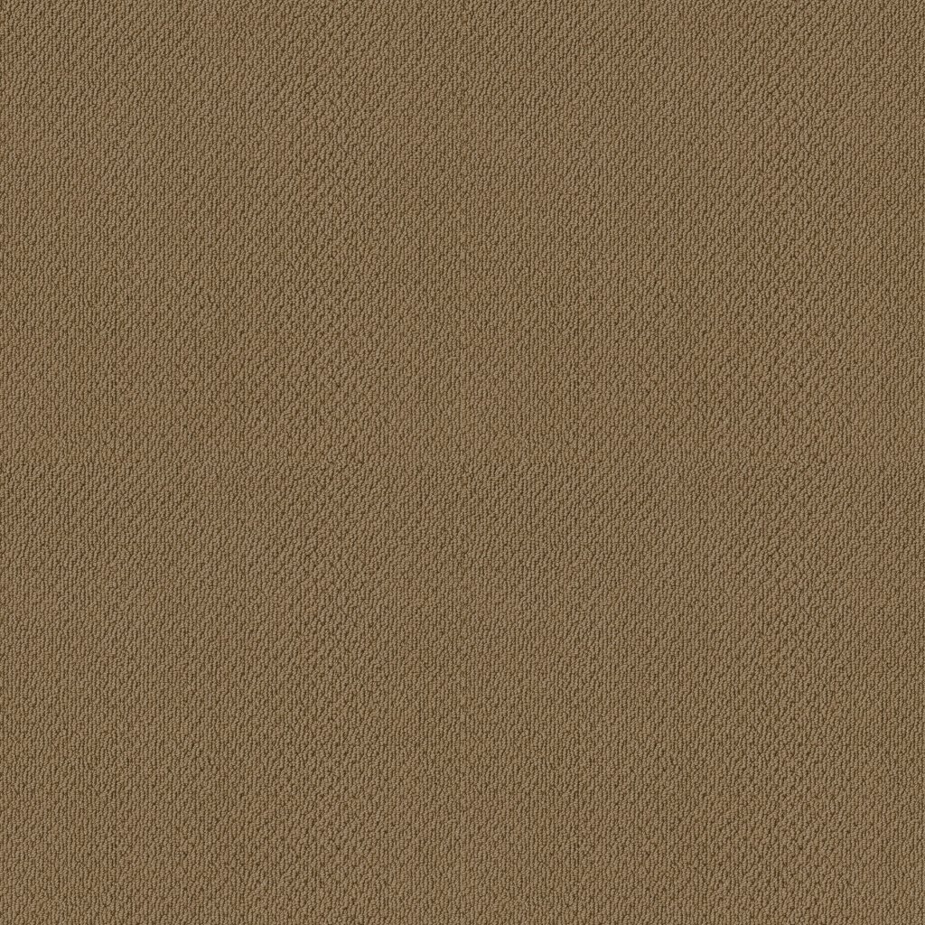 Shaw Floors Artist View Loop - Honey Pot
