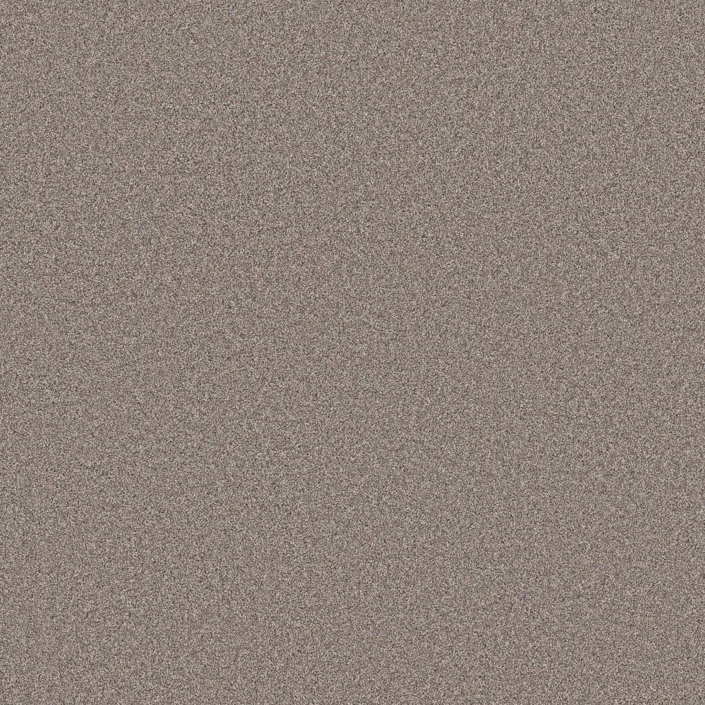 Shaw Floors Blended Touch I - Houndstooth