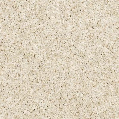 Mohawk Diffurent Choice III - Canvas Cloth