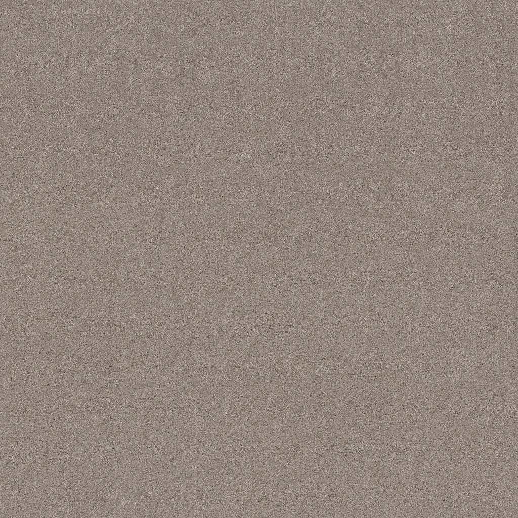 Shaw Floors Secret Adventure - Mocha