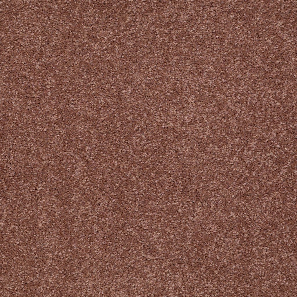 Shaw Floors Timeless Appeal Ii 15' - Stucco