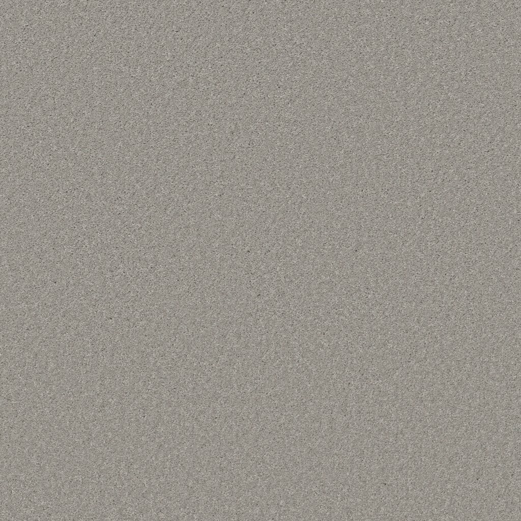 Shaw Floors Well Made - Sheer Silver