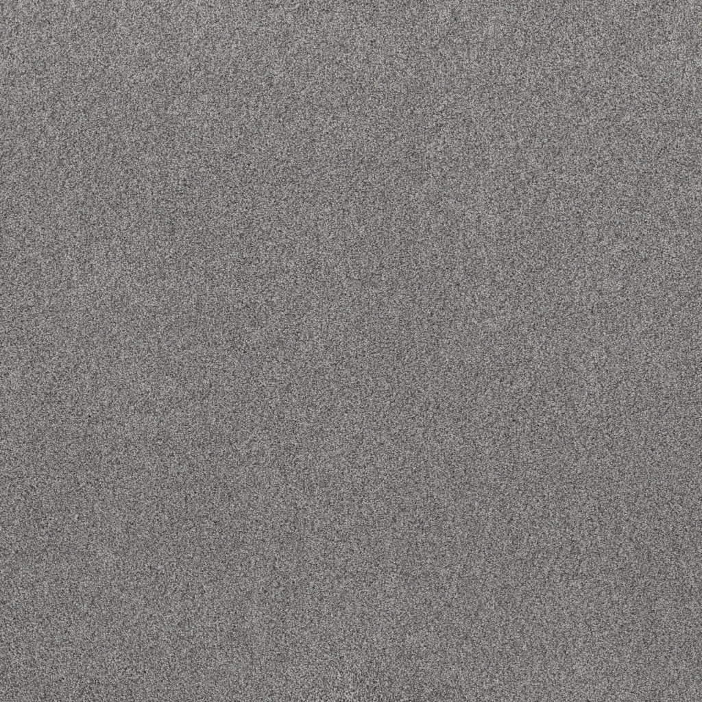 Shaw Floors Live On Comfort - Looking Glass