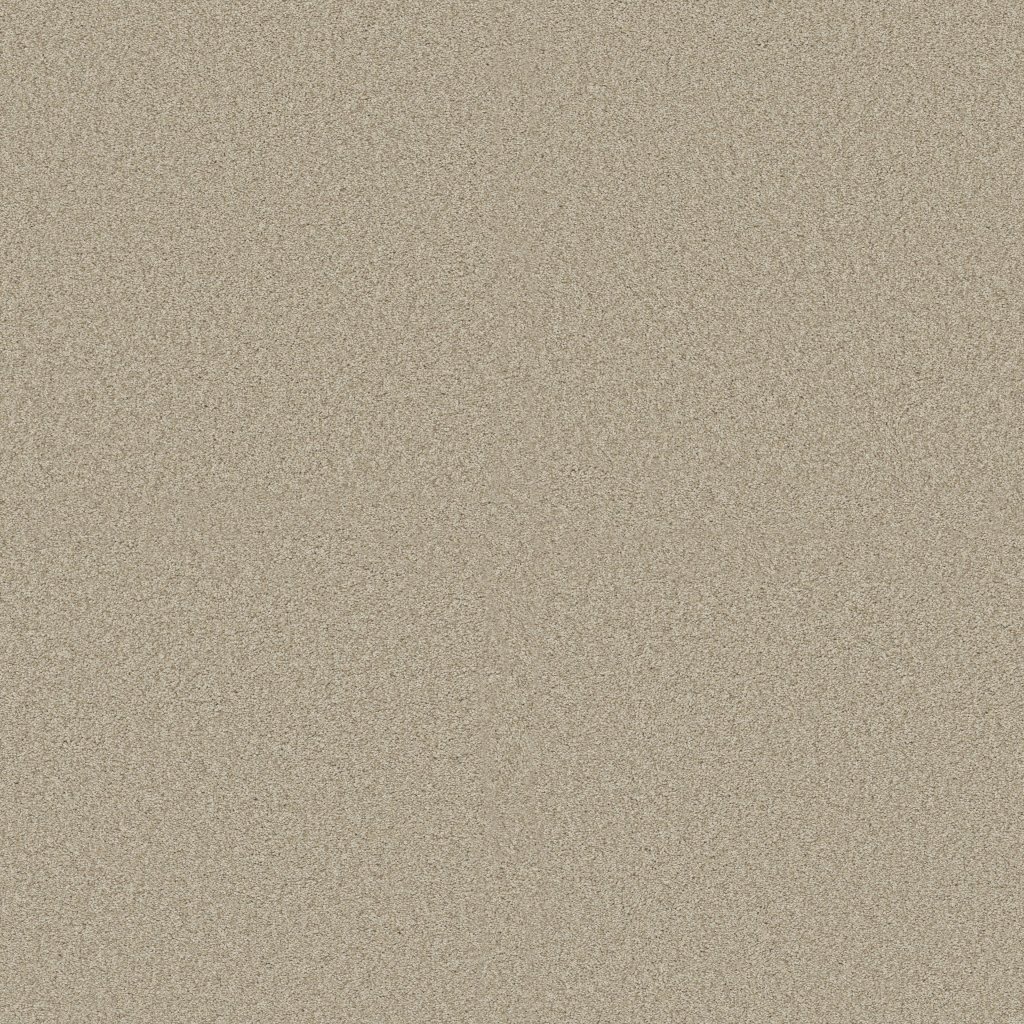 Shaw Floors Tonal Comfort II - Sand Castle