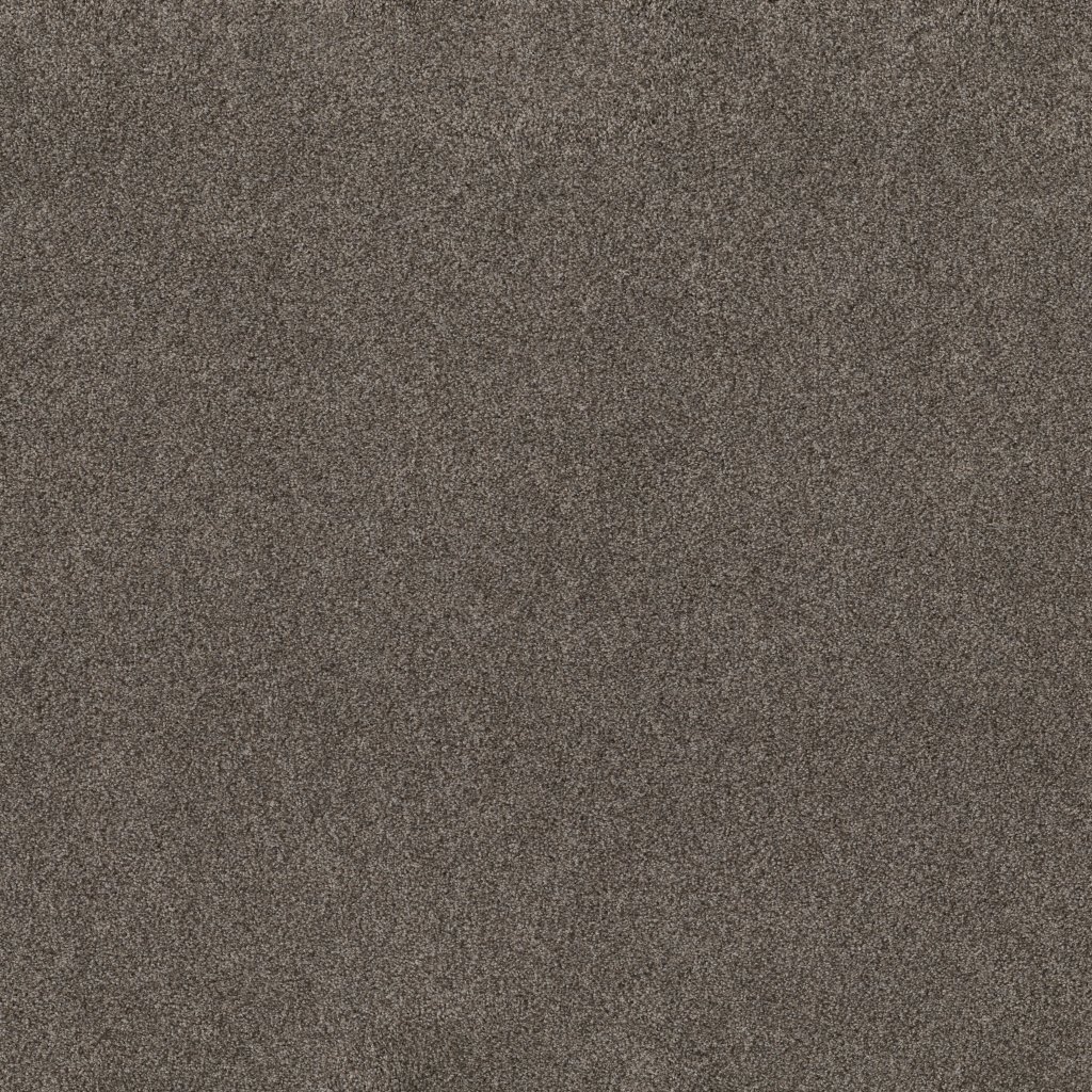 Shaw Floors Live On Comfort - Woodcliff Brown