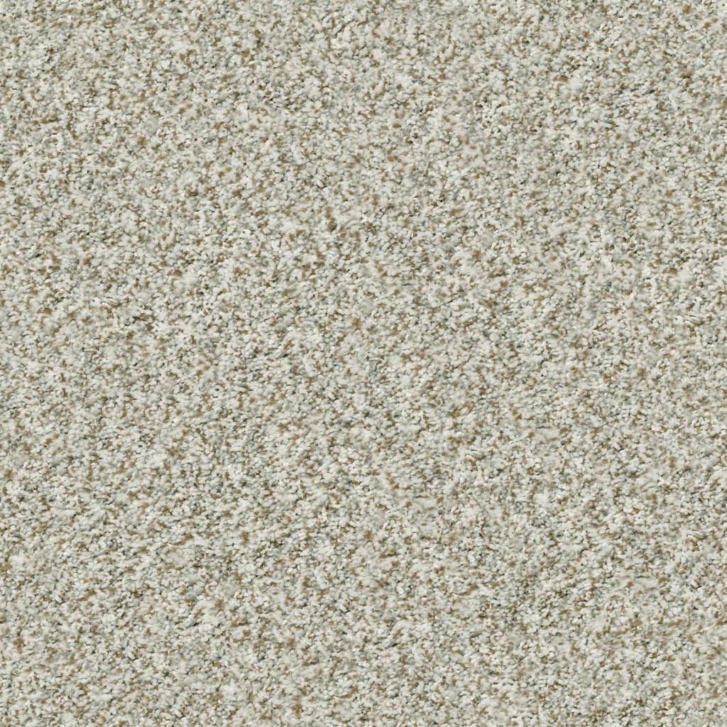 Shaw Floors Cabana Life (B) - Winter