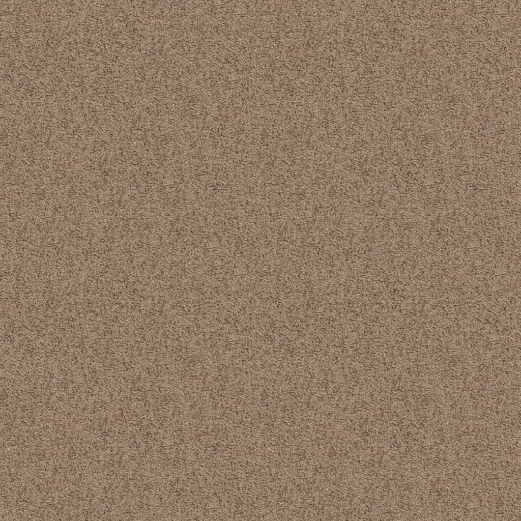 Shaw Floors EXPECT MORE (S) - Sahara Buff
