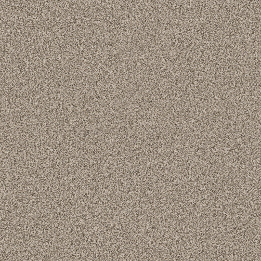 Shaw Floors Yes You Can I 12' - Natural
