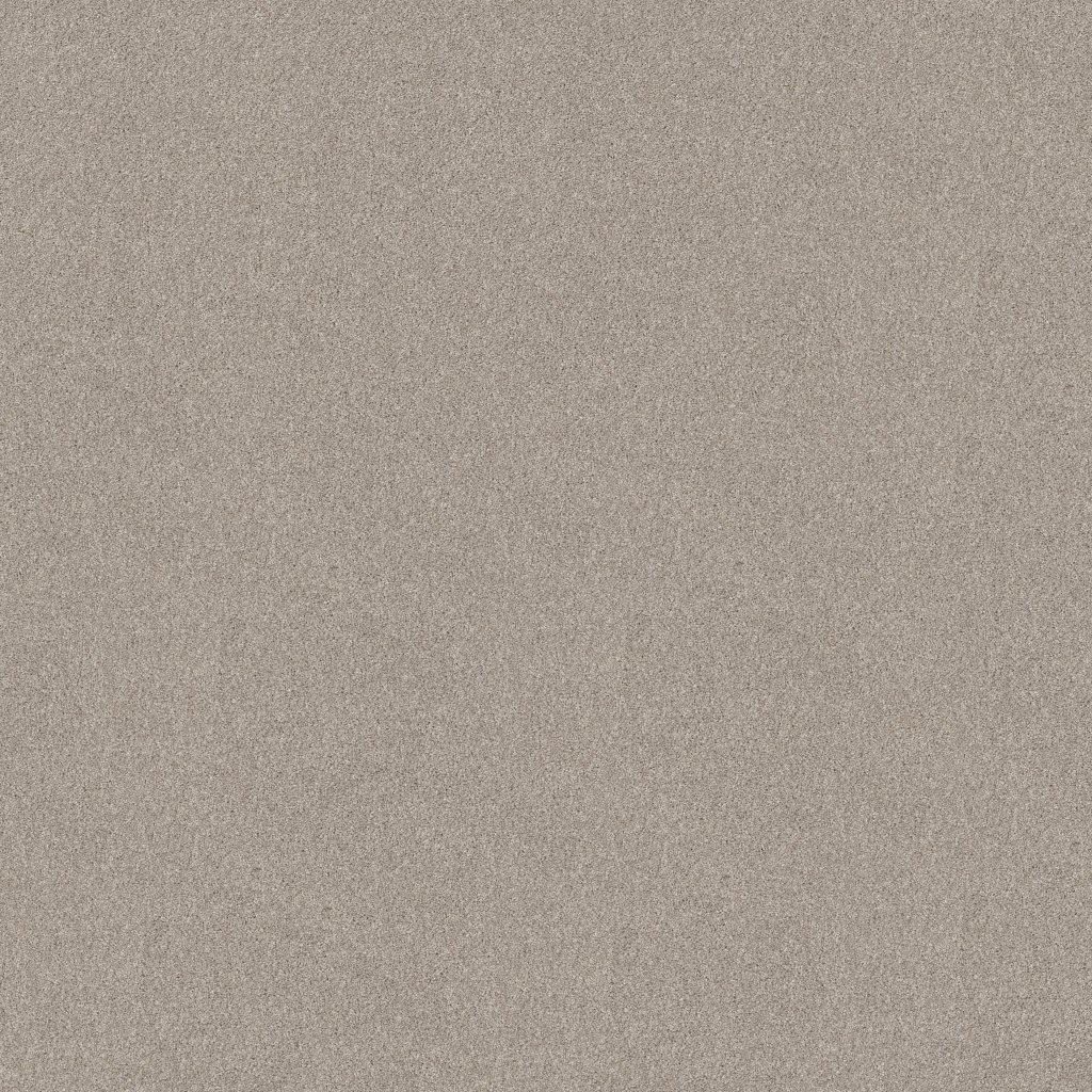 Shaw Floors New Memories T - Chic Taupe