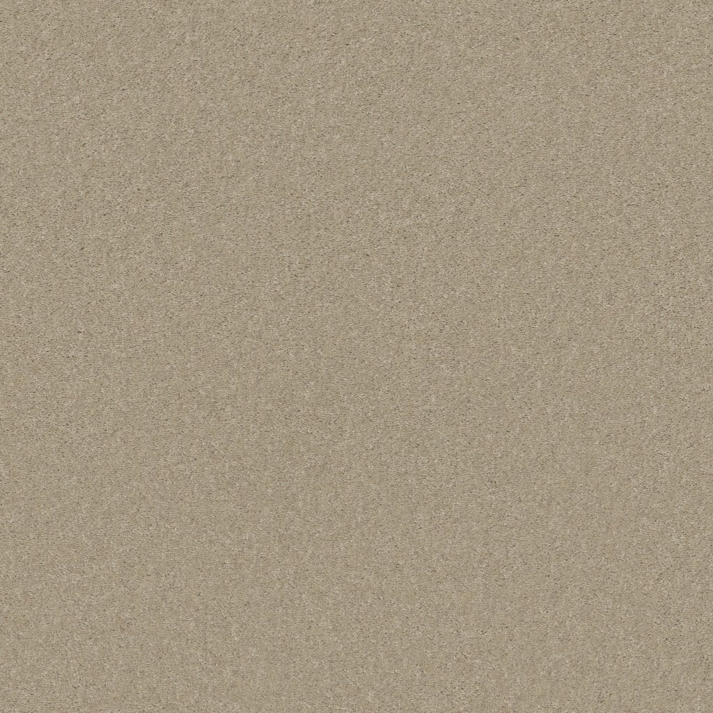 Shaw Floors Well Played I 15' - Agate