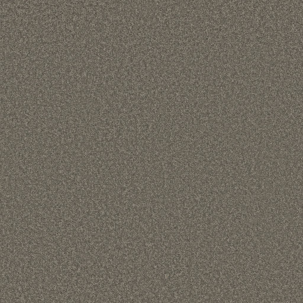Shaw Floors Why Not Me - Slate