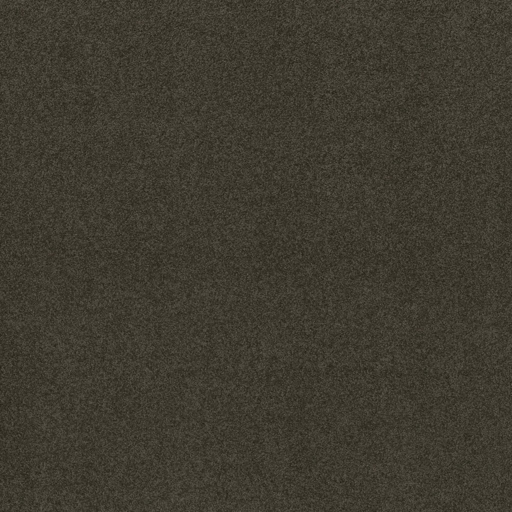 Shaw Floors My Destination III - Vintage Leather