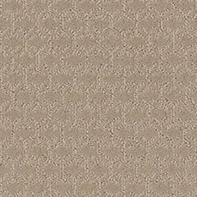 Shaw Floors Valid - Nature Walk