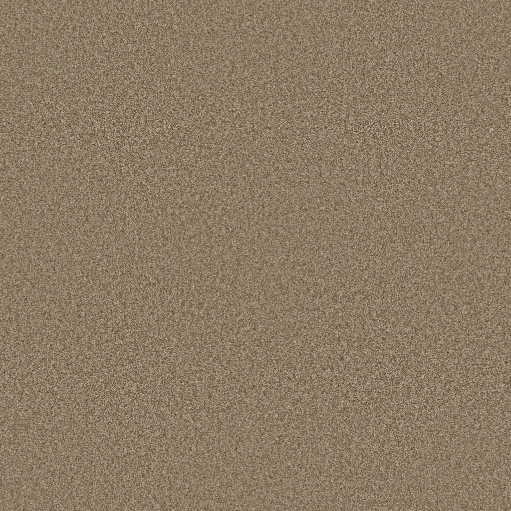 Shaw Floors Tonal Comfort II - Happy Place
