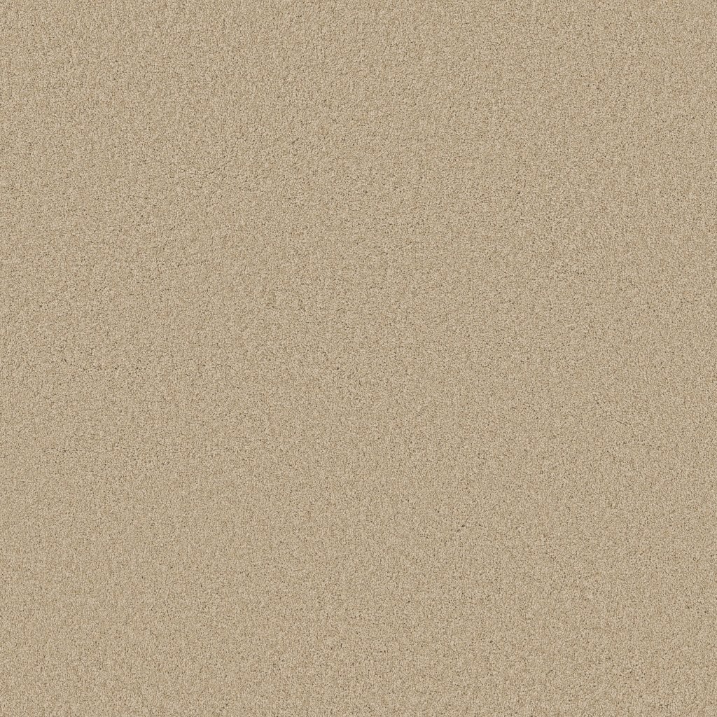 Shaw Floors Endless Evening III - French Linen