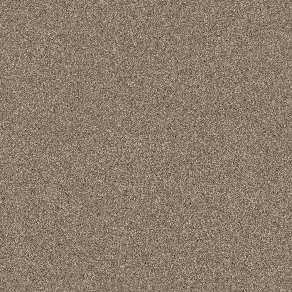 Shaw Floors What's Up - Acorn