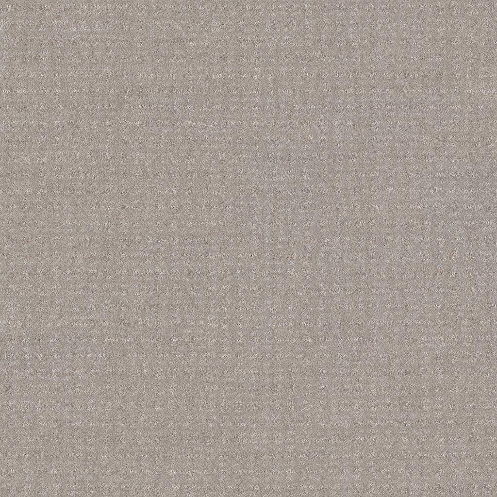 Shaw Floors Chic Nuance - Split Sediment