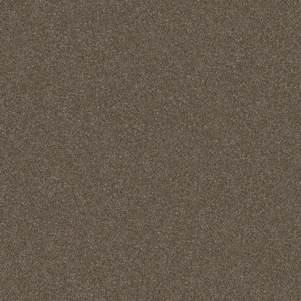 Shaw Floors Without Limits III - Bountiful