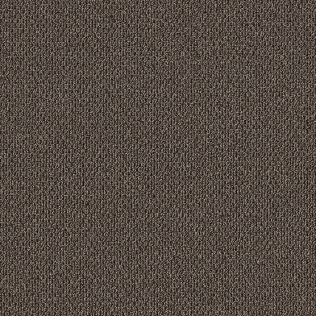 Shaw Floors Perspective Path - Black Walnut