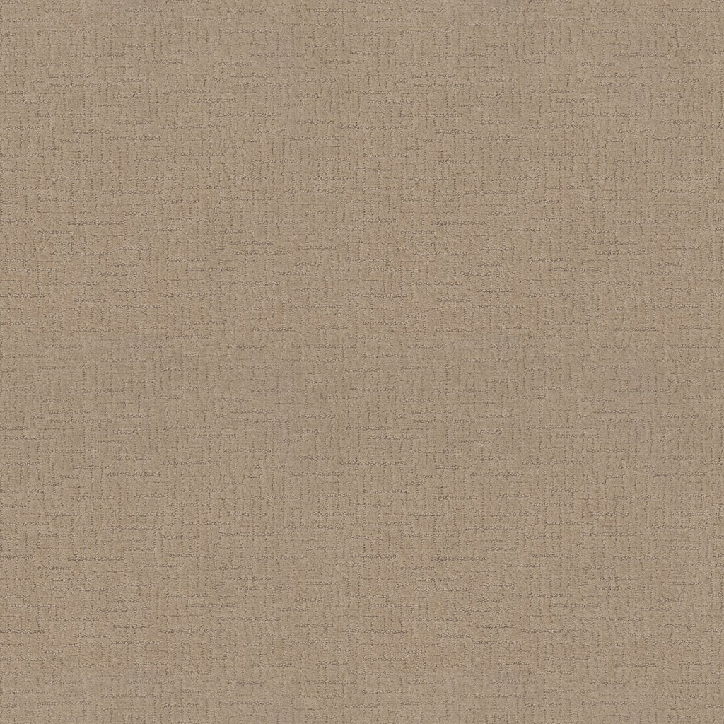 Shaw Floors One More Hour - Muslin