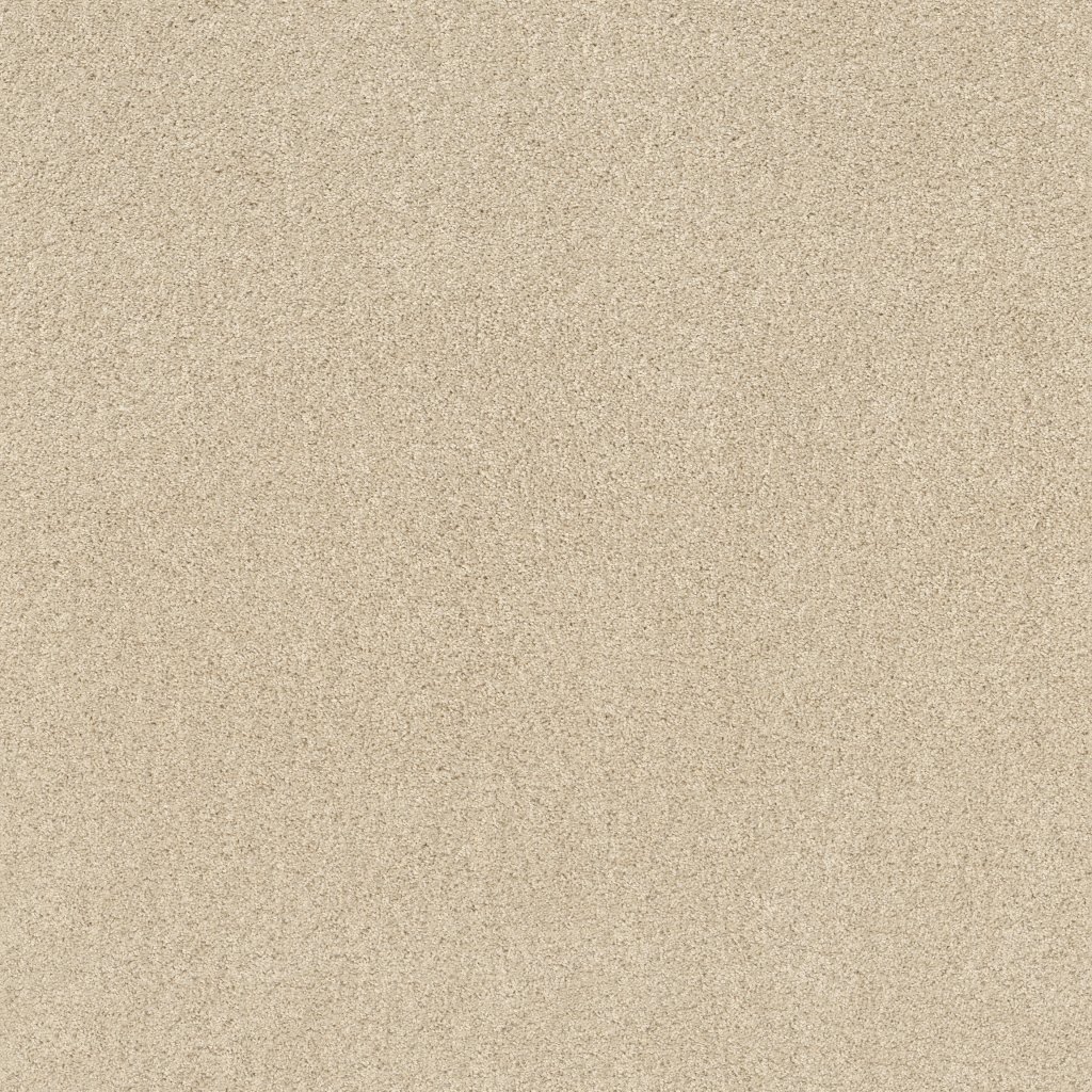 Shaw Floors Tip Of The Hat - Winter White
