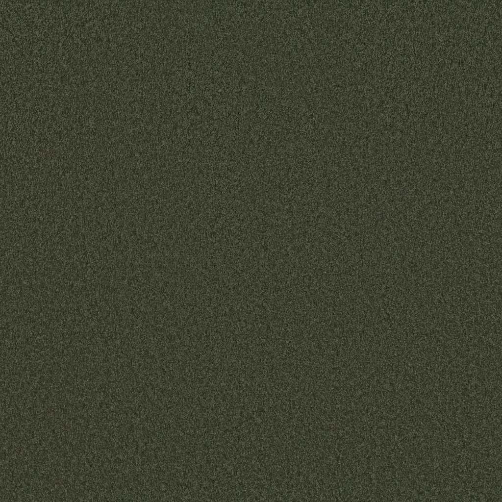 Shaw Floors Around The House III - Magic Emerald