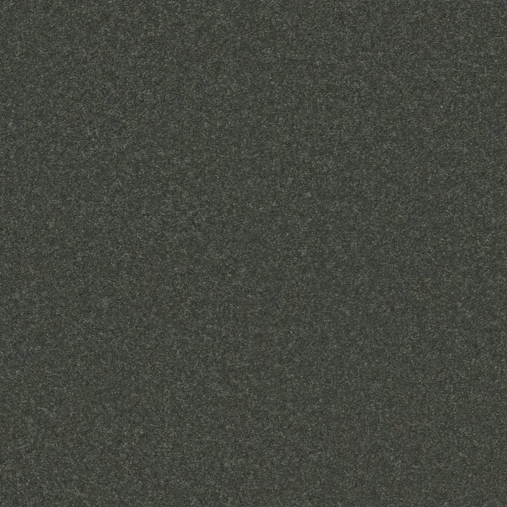 Shaw Floors Well Played I 12' - Aspen