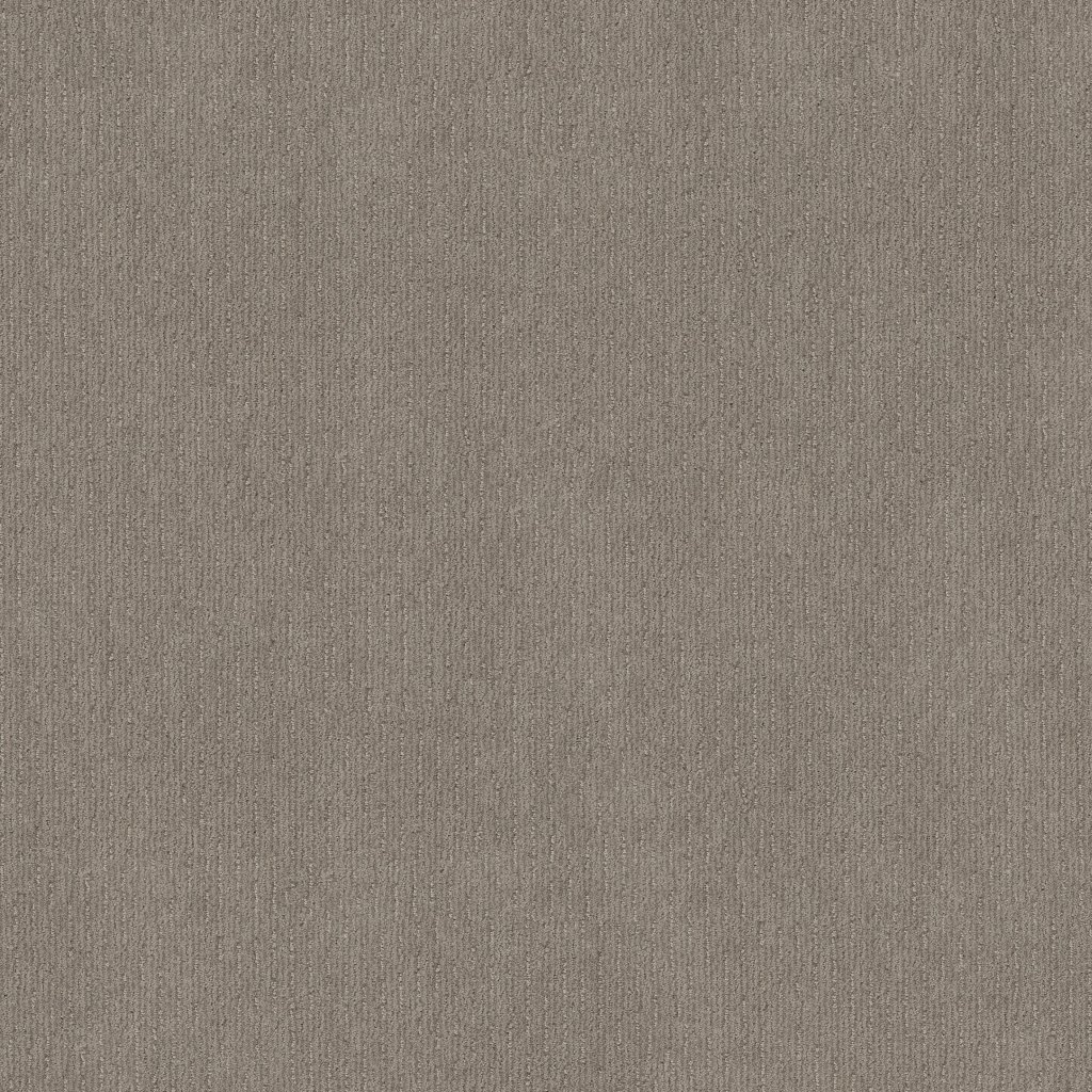 Shaw Floors Insightful Way - Silhouette