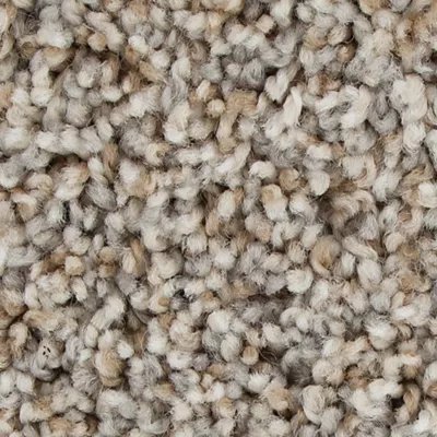 Mohawk Color Fusion II - Colonial Ash
