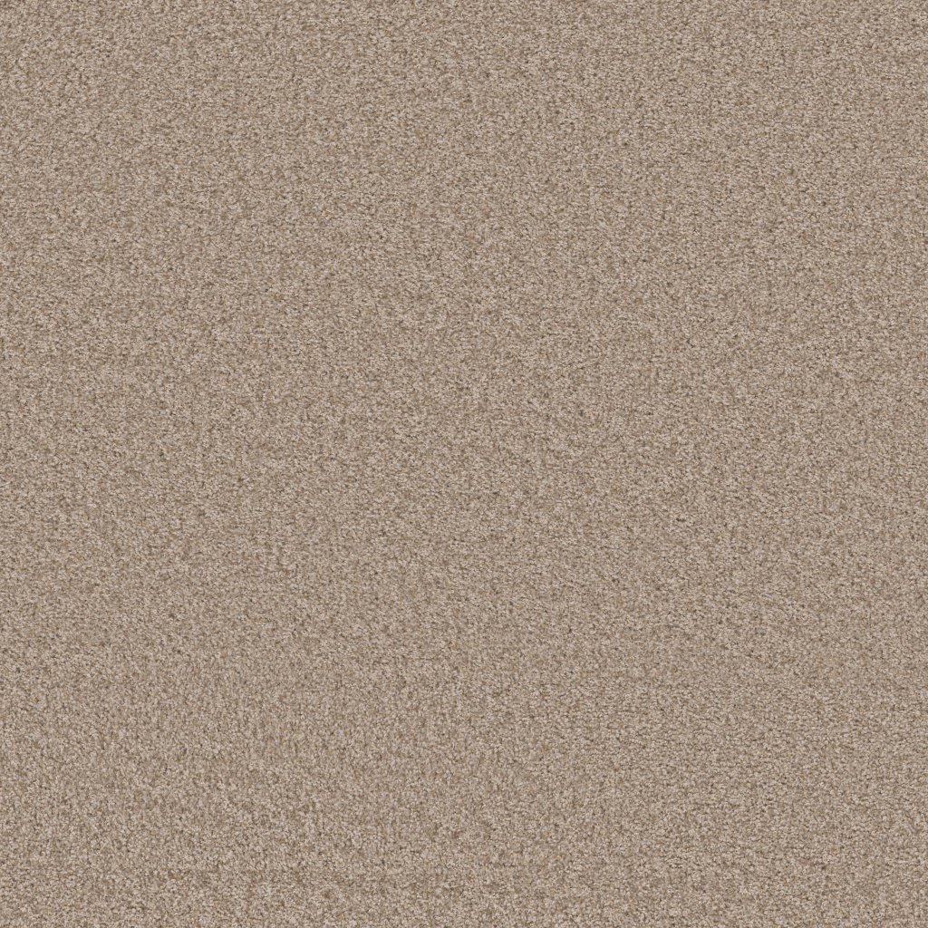 Shaw Floors Take Away (T) - Summer Sand