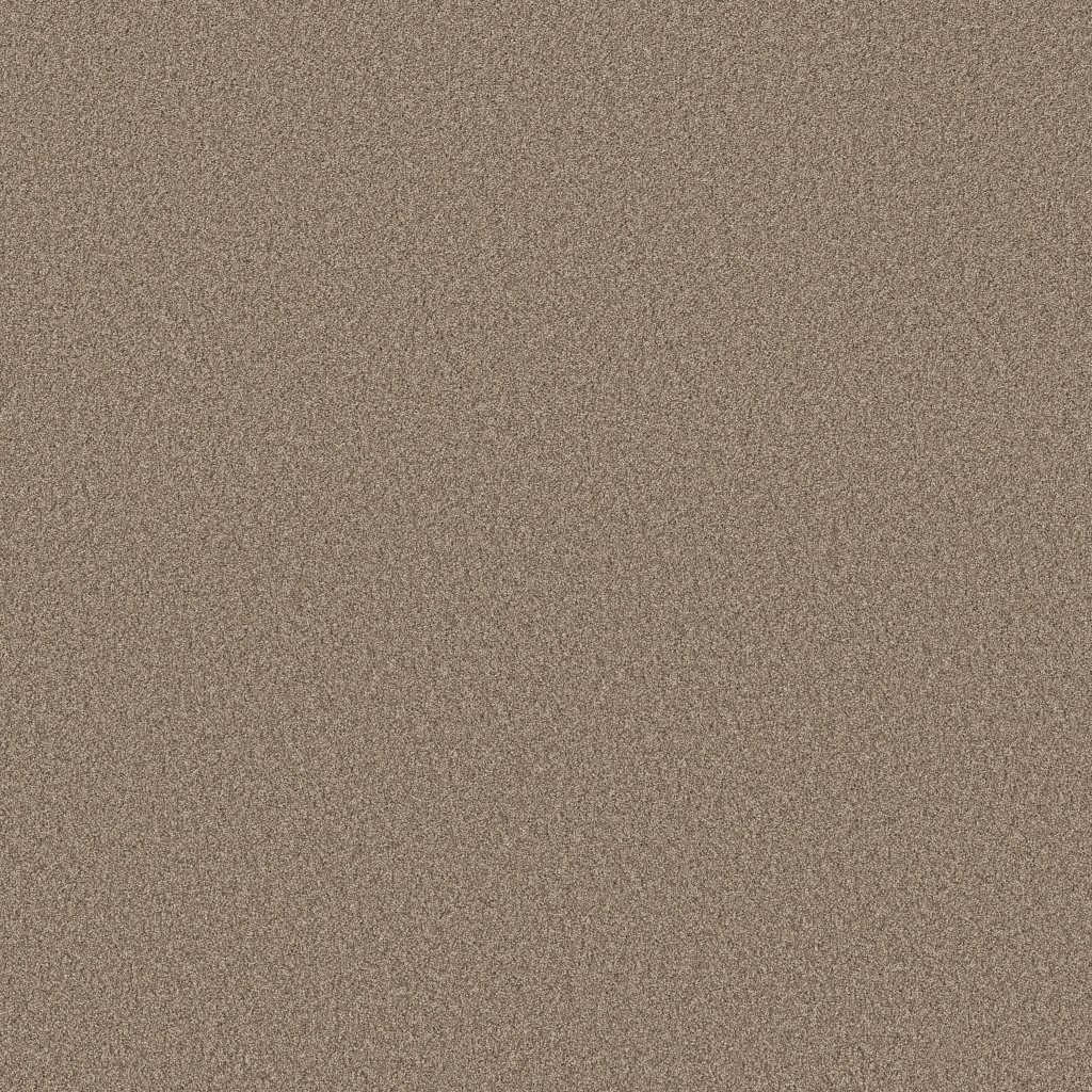 Shaw Floors Pure Affection Tonal - Stonecrest
