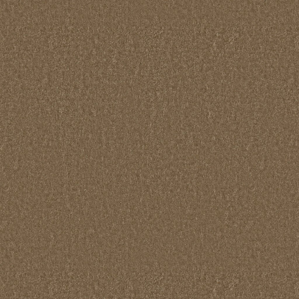 Shaw Floors Sprinter - Down Home