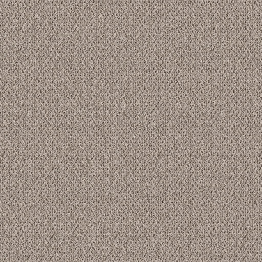 Shaw Floors Naturalistic - Baltic Stone