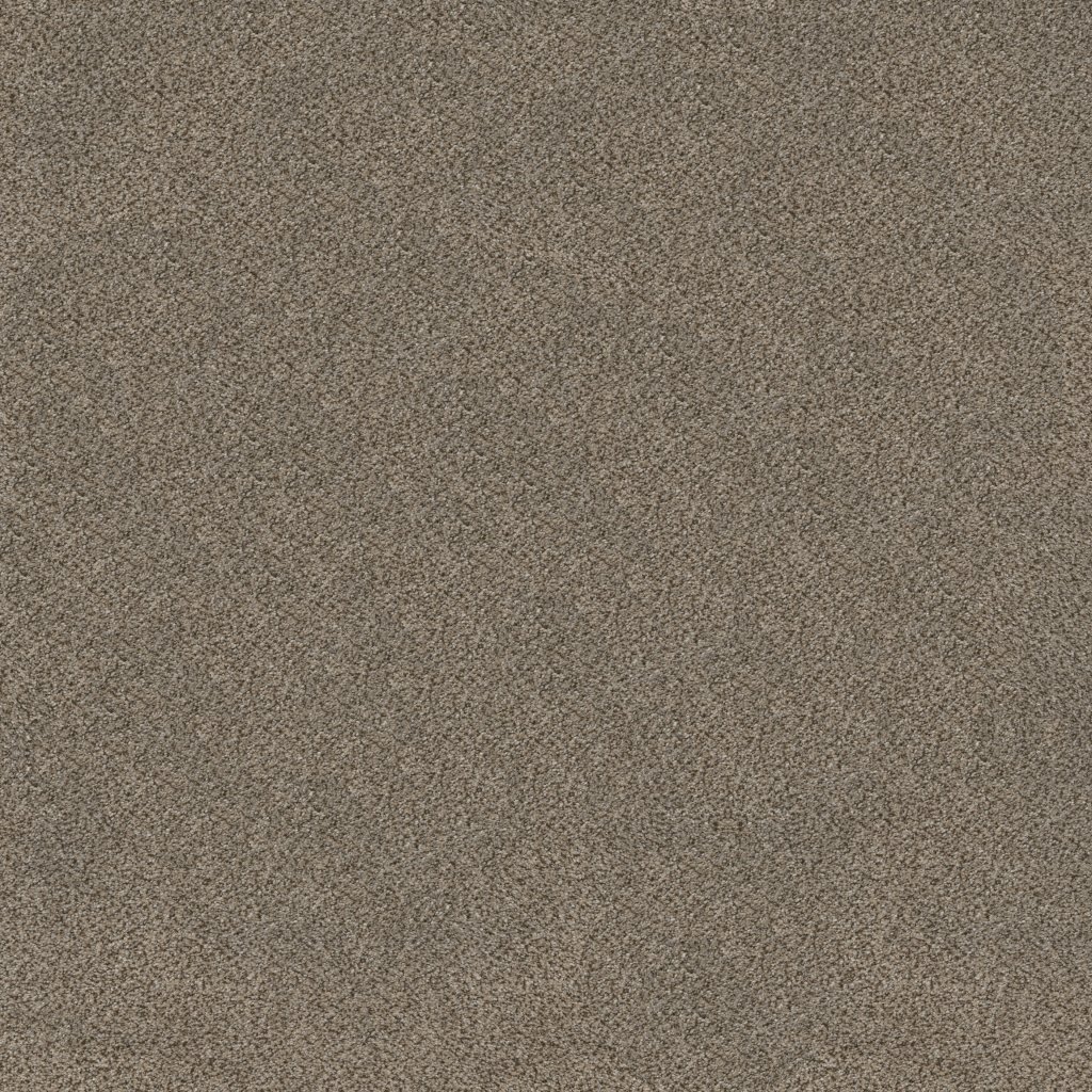 Shaw Floors Trusplendor - Truffle