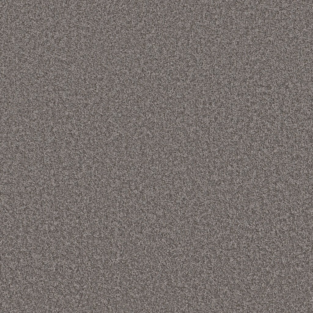 Shaw Floors Take Away (T) - Truffle