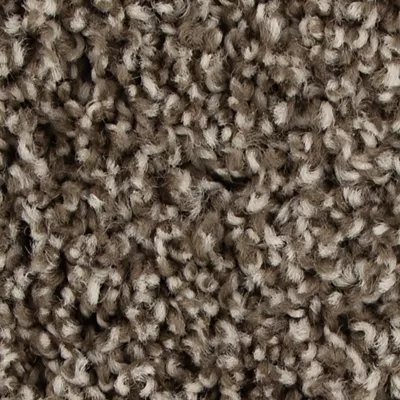 Mohawk Color Fusion II - Taupe Whisper