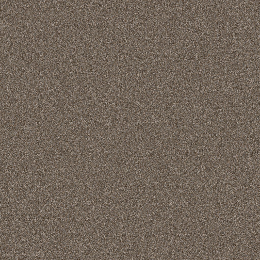 Shaw Floors Tweed Comfort II - Gathering