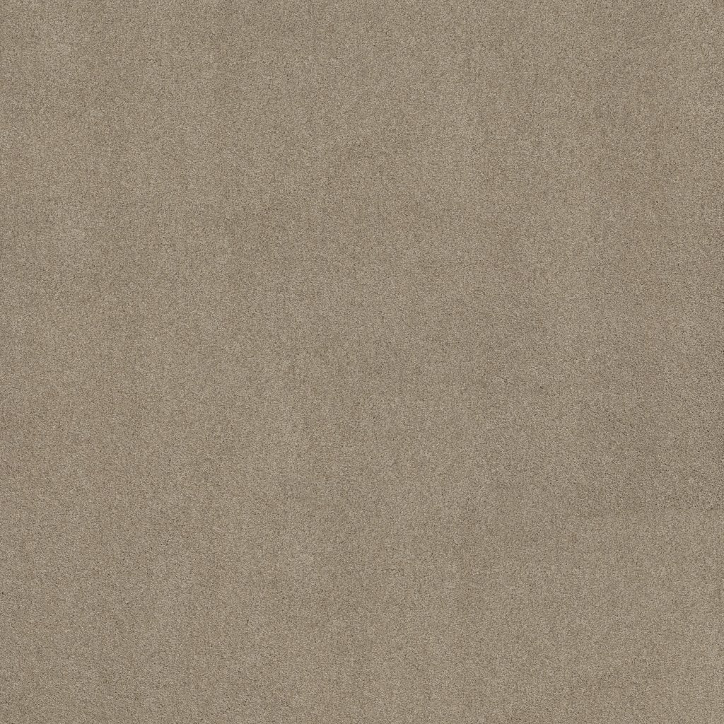 Shaw Floors Around The House III - French Linen