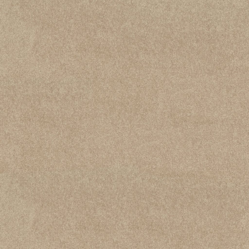 Shaw Floors Newbern Classic 15' - Crisp Linen