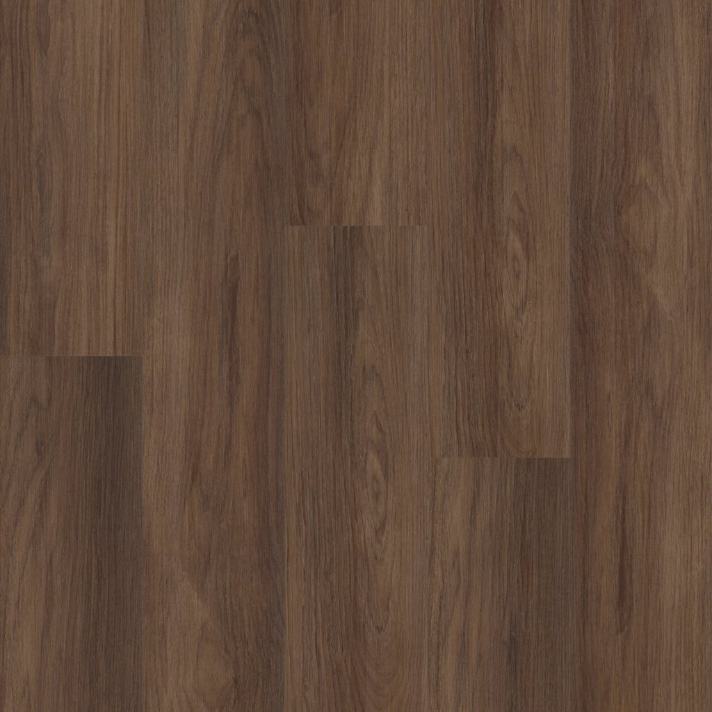 Shaw Floors DISTINCTION PLUS - Burnt Umber