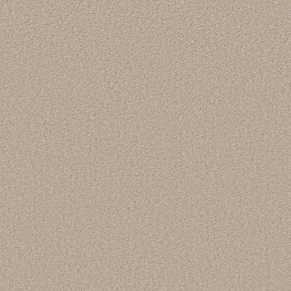 Shaw Floors High Impact T - Aura