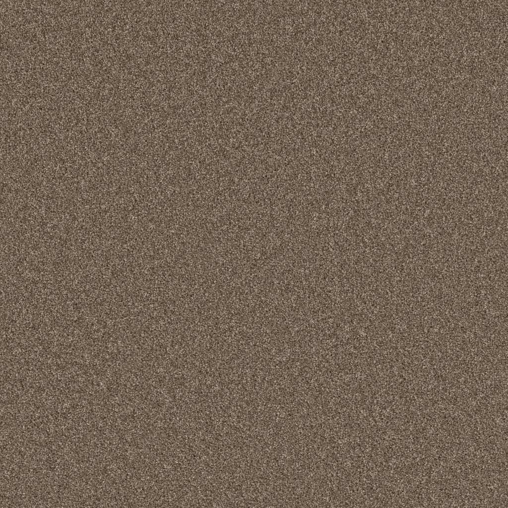 Shaw Floors Agility - Roasted Coffee