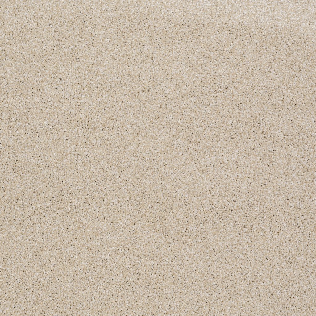 Shaw Floors Always Ready II - Boutique