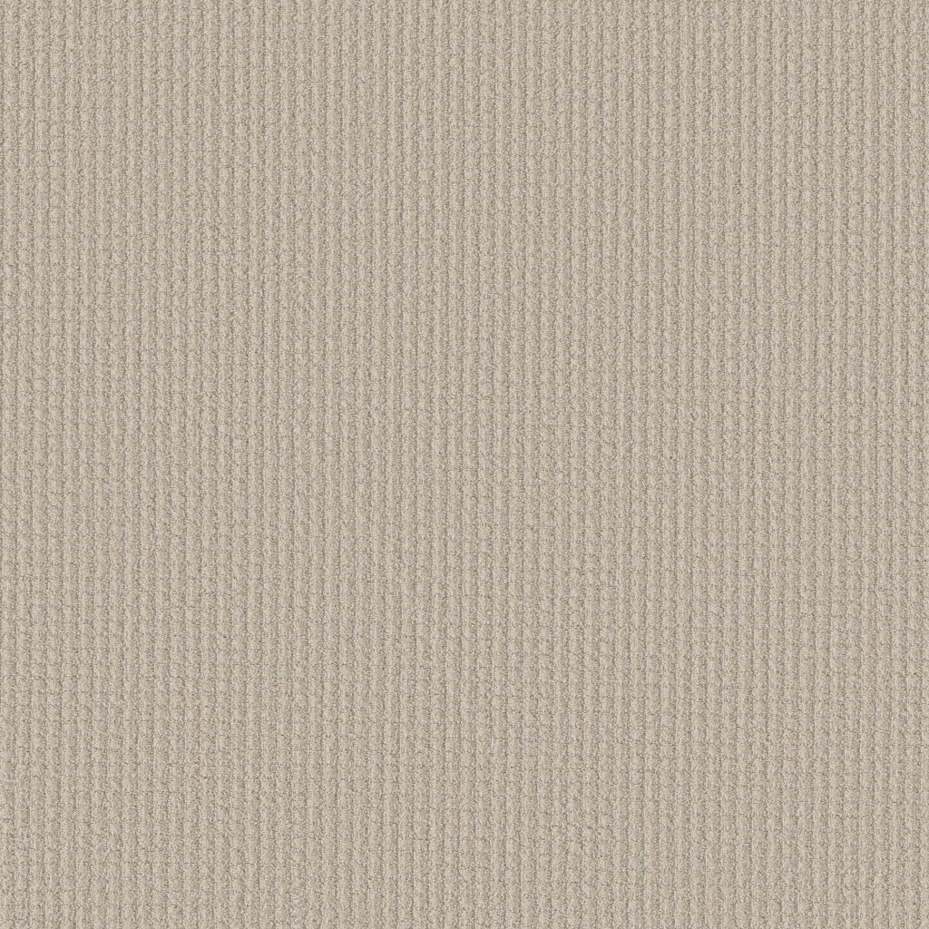 Shaw Floors Aerial Arts - Canvas