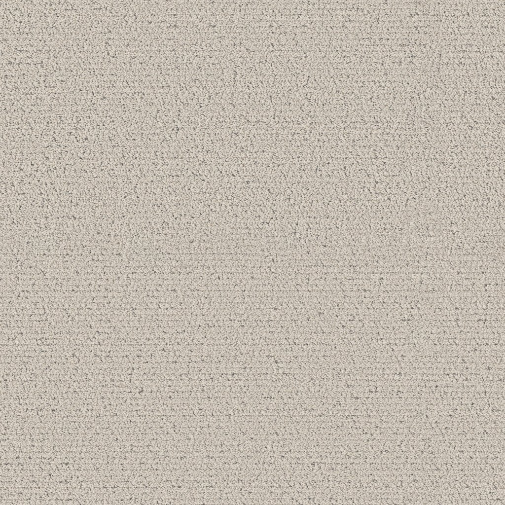 Shaw Floors Intricate Trace - Snowfall