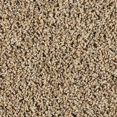 Mohawk Exhilarating - Boulder Beige