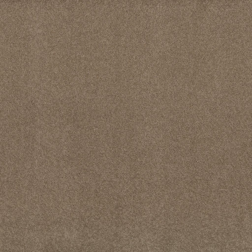 Shaw Floors My Destination III - Cappuccino