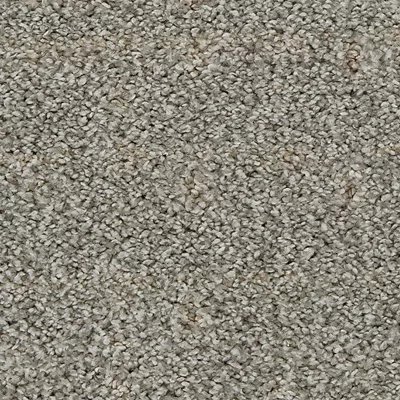 Mohawk Paw-Some Plaid - Misty Granite