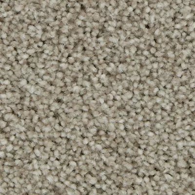 Mohawk Polished Shades II - Cypress